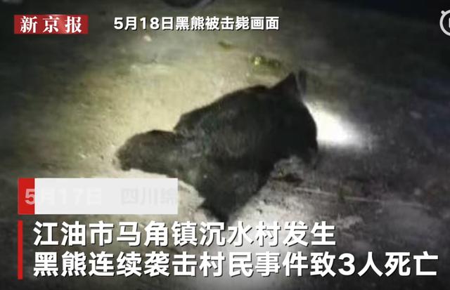 中国连续两起熊吃人事件!男童目睹母亲被撕咬,女子被叼走咬死