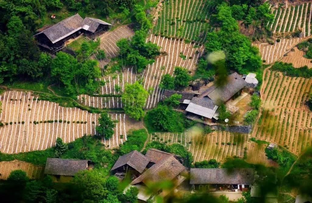 避暑胜地,湖北,栗子坪村,宜昌,村庄,农家乐