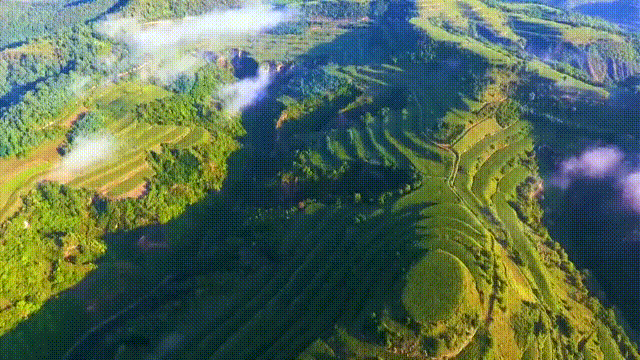 黄土高坡上的绿色奇迹