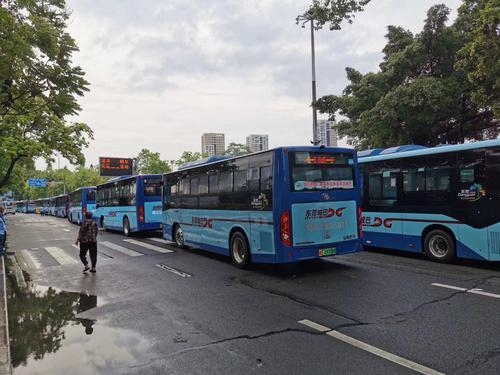 东莞,暴雨,东莞巴士公司