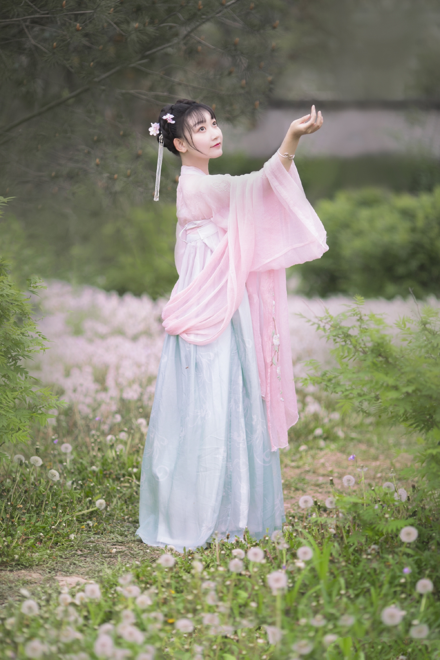 【汉服摄影】丁香枝上,豆蔻梢头