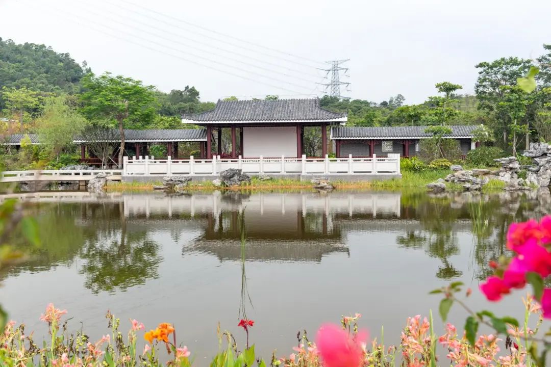 景美,深圳,公园,松岗,园博园
