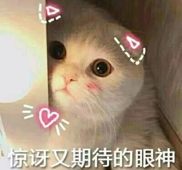 无敌可爱撩人表情包,嗨不起来算我输!赶紧收藏