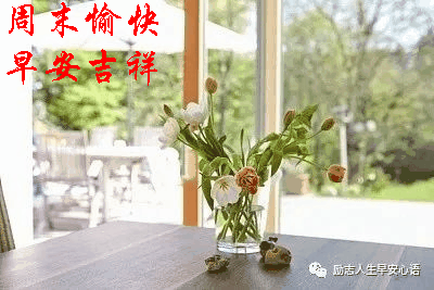 6 13周末愉快《早安 心语》