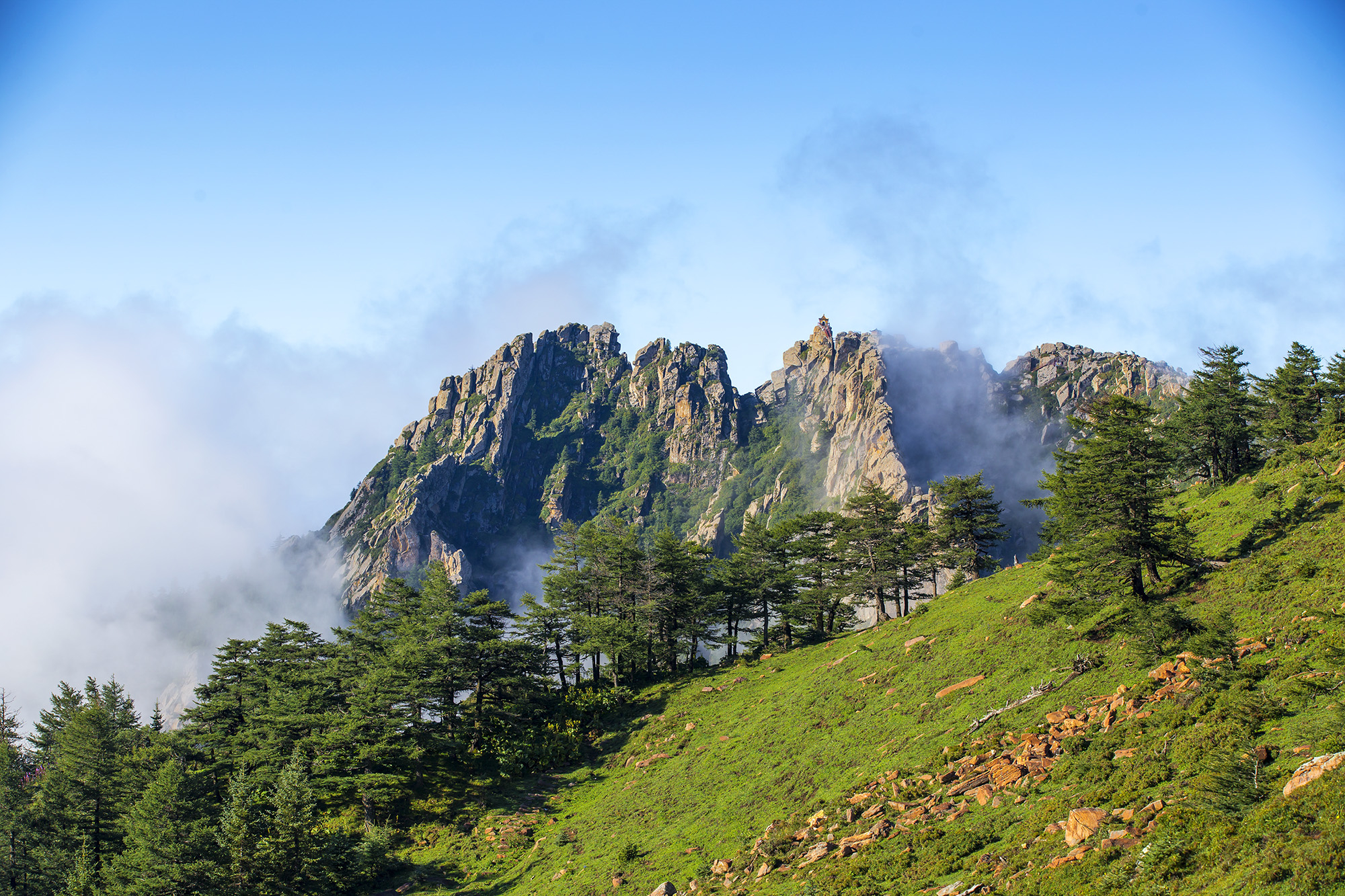 山西芦芽山:有一处万亩亚高山草甸,旖旎风光让人陶醉!