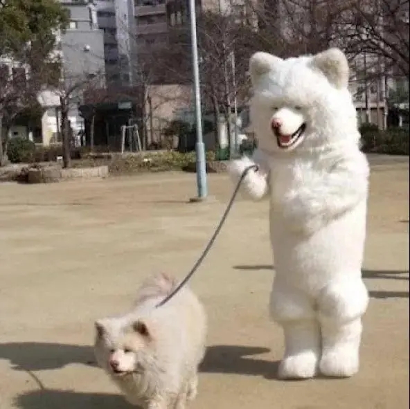 超搞笑头像‖有趣的灵魂万里挑一