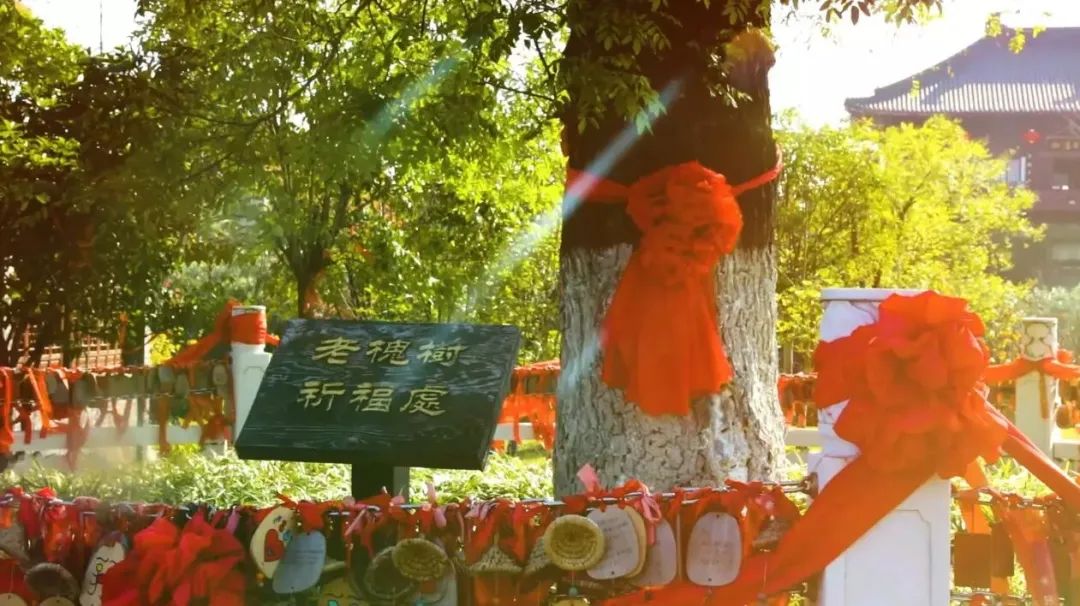 古风,天仙,西溪,东台,古塔
