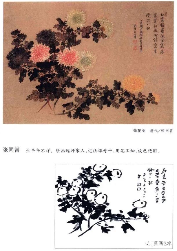 分享:菊花构图100例(四)