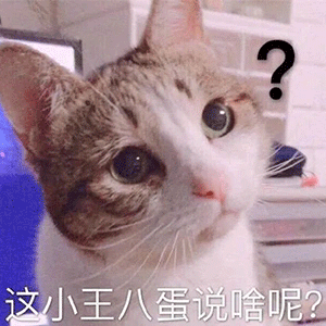 表情包洗吧我给你把风