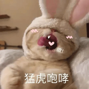 表情包忍者听了都忍不了