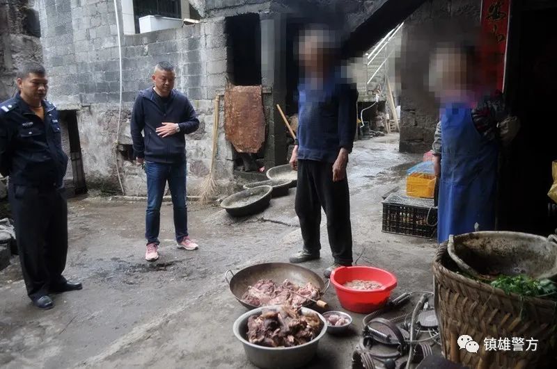 镇雄县,森林公安,昭通