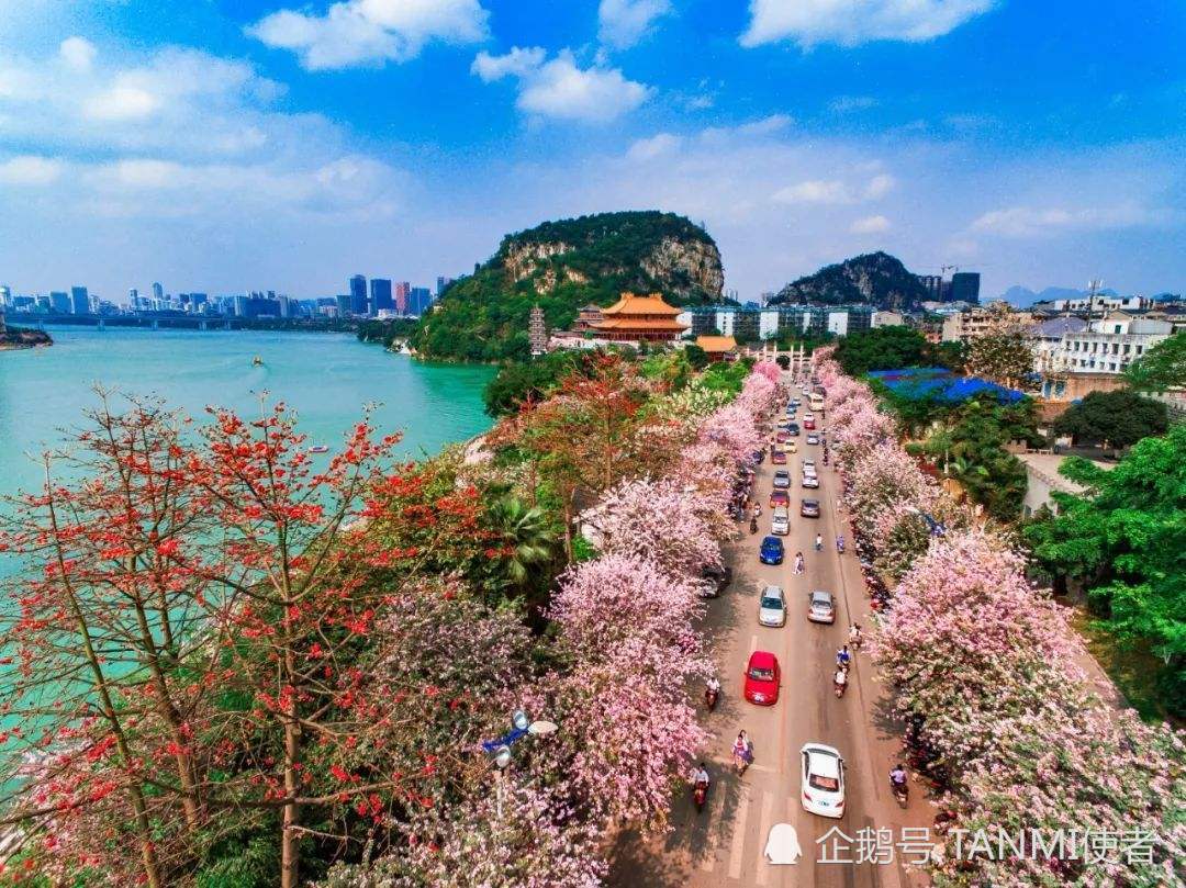 广西柳州:百里柳江夜景如梦似幻,是外滩跟漓江的完美结合