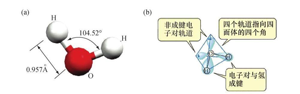 水分子的极性不仅是由于氢原子失去电子带正电,同时也由于孤对电子