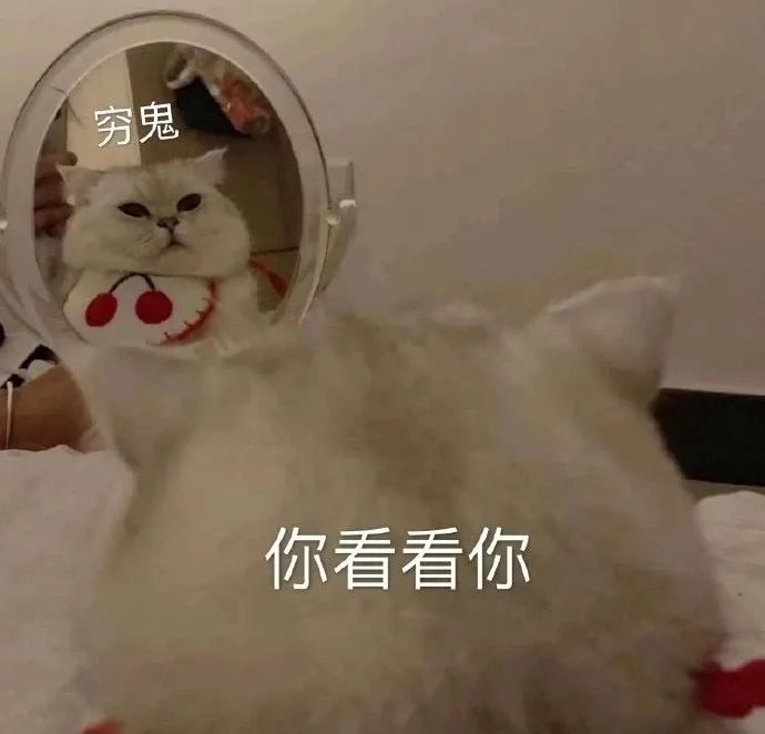 表情包～小脾气上头