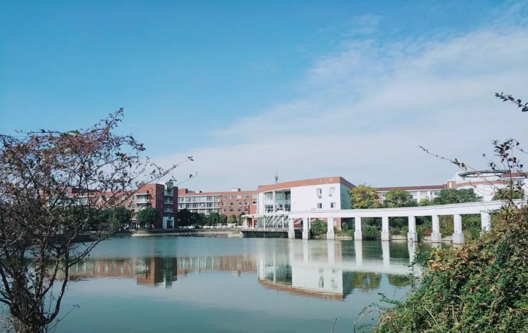扬州大学,合并办学,211,985,双一流