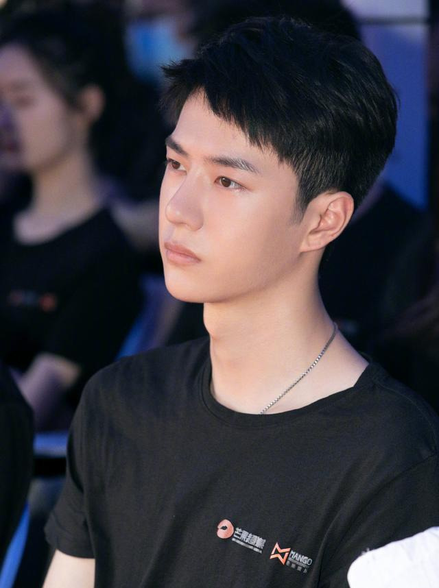 陈晓,王一博,创造101,冰雨火,陈情令