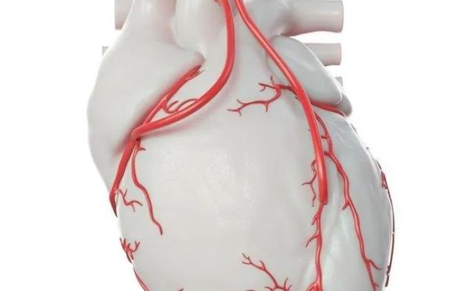 心脑血管:心脏冠状动脉造影检查后,一定要放支架吗?