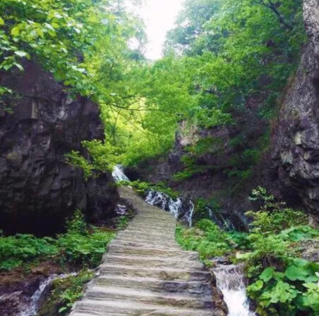 王府竹海生态旅游风景区