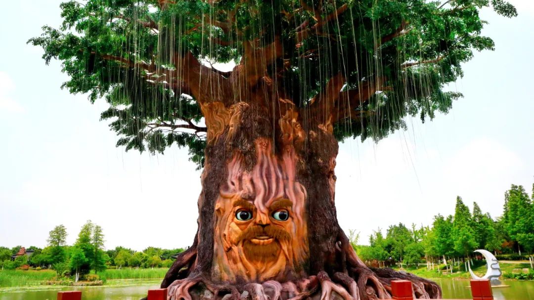 会说话的老槐树