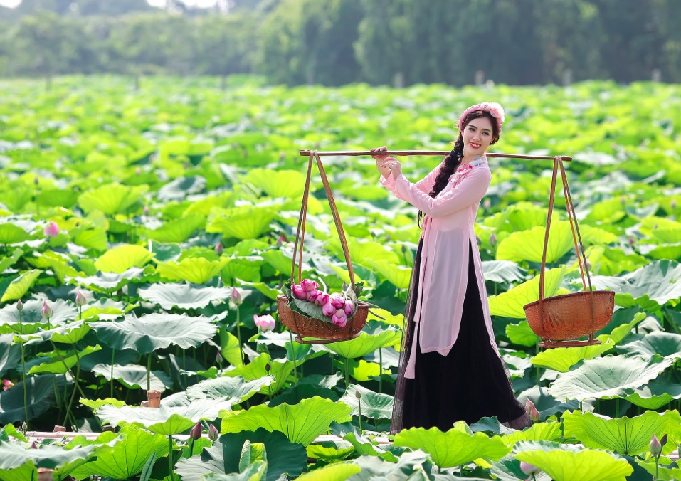 王昌龄见到采莲女,写下一首诗,短短4句,便美艳了千年!