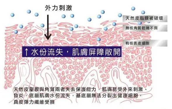 皮肤屏障竟然这么重要?想要皮肤好,一定要保护好它!
