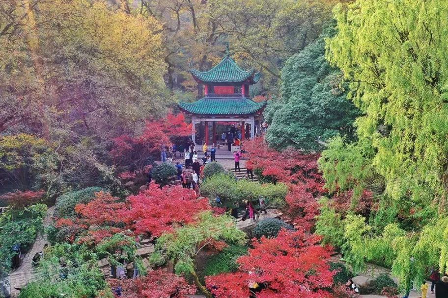 岳麓山,爱晚亭,5a景区,湖南岳麓,枫叶,岳麓书院