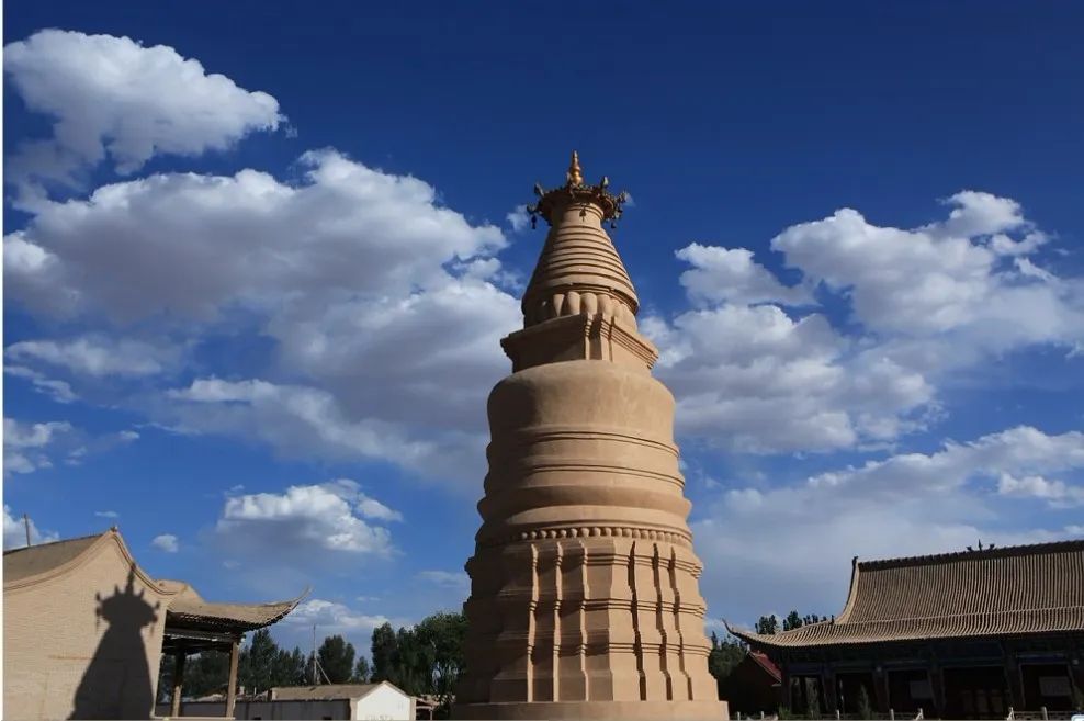 金塔县,黑河,榆树