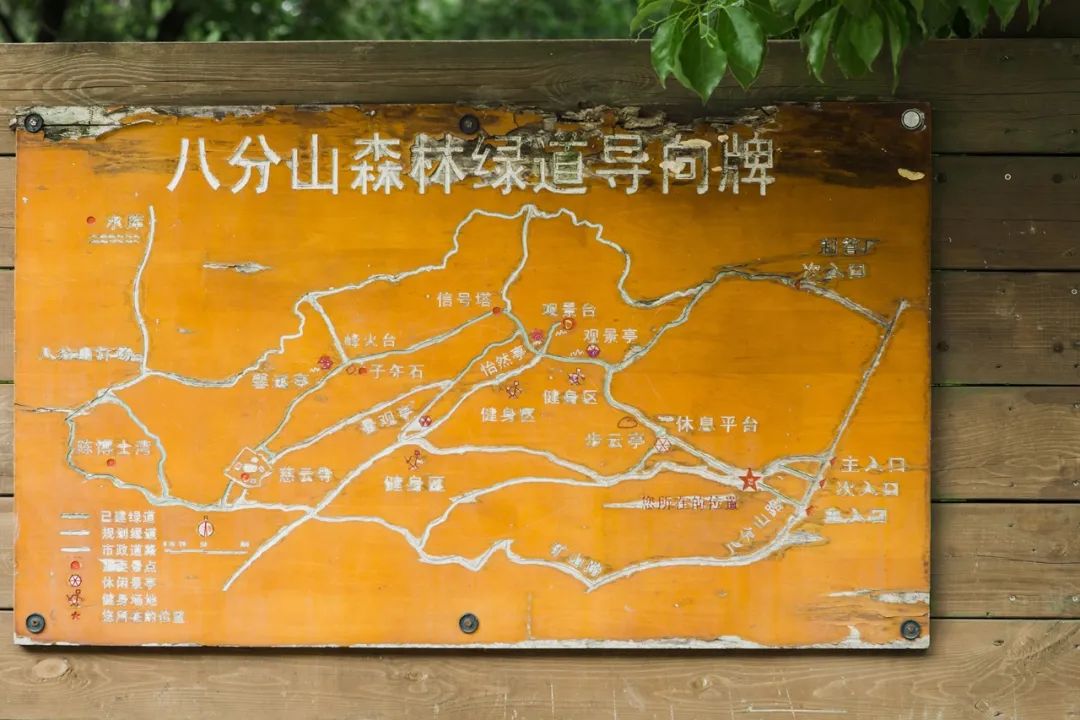 武汉,八分山,自驾,江夏区,西苑公园,游玩