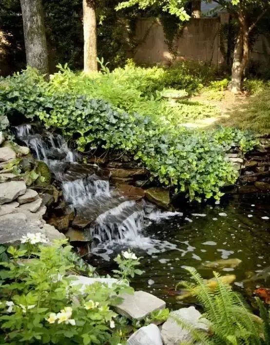 庭院,小院,水池