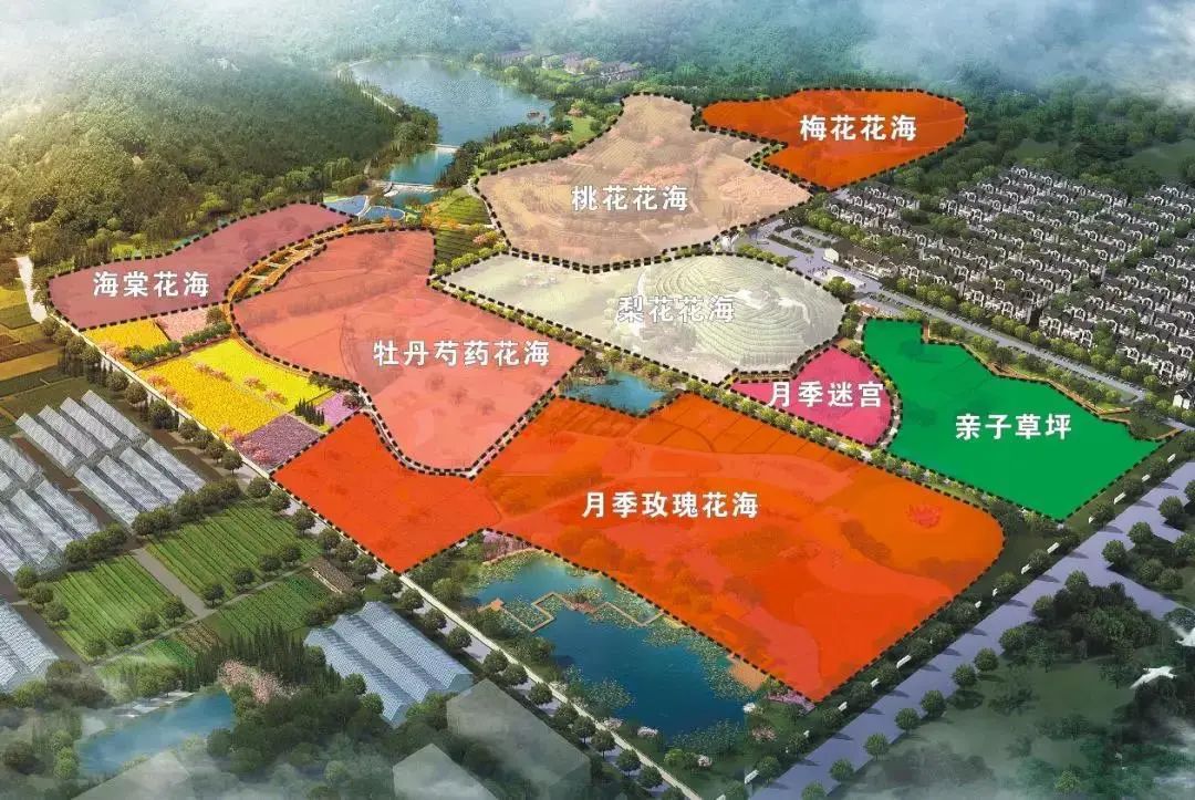 乌石村,金华,花园村,浦江县,浙江省文化和旅游厅,新光村