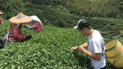 出租微信号的骗局也是一样,美女头像一放,各种承诺各种迷惑,就是想让