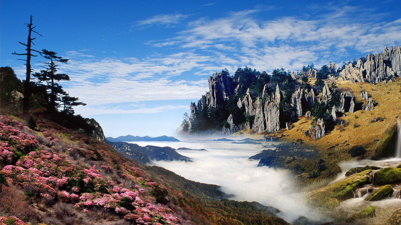 景区,神农架