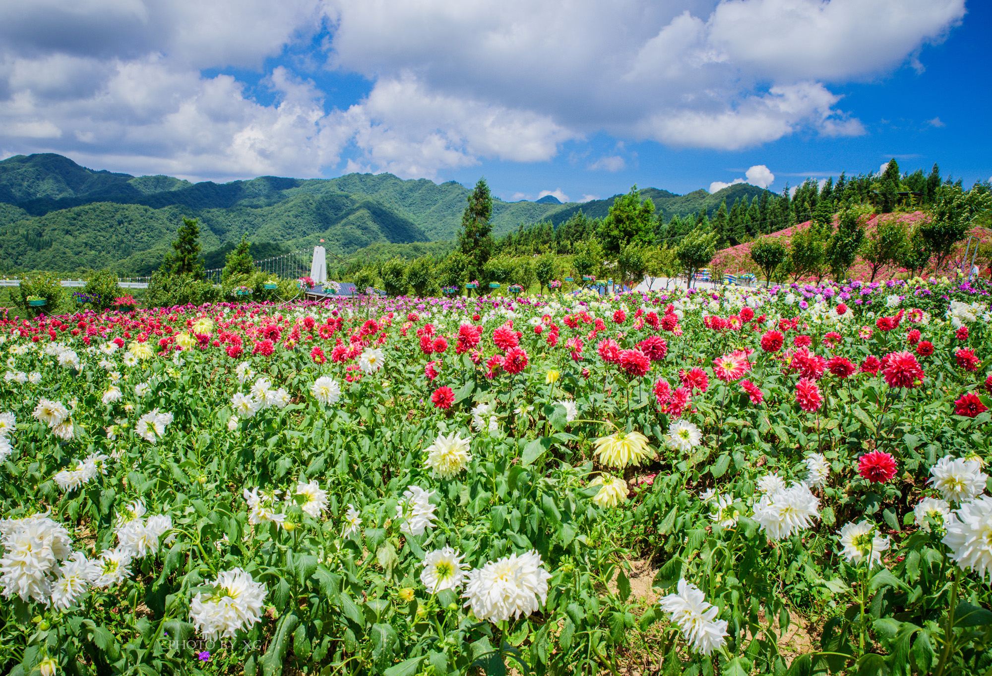 重庆,石柱,云中花都