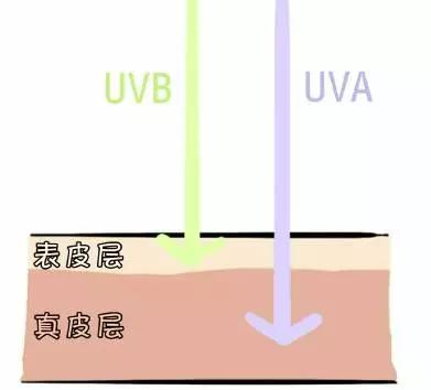 大家都在涂防晒霜,为什么就你晒黑了?