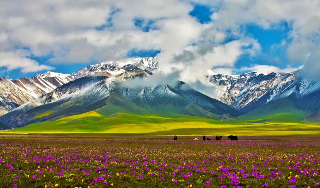 藏不住的西域好风光!你好,这里是我最爱的新疆!