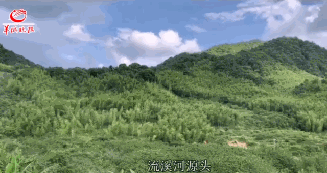 从化美上热搜了!