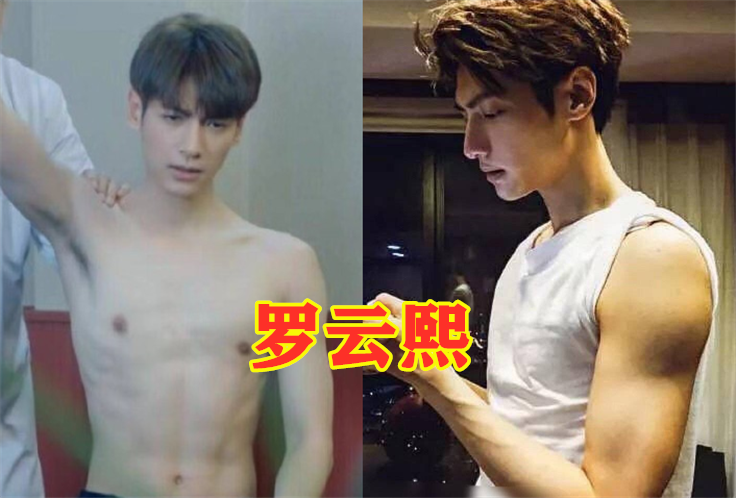 丁禹兮的腹肌,黄景瑜的腹肌,罗云熙的腹肌,看到张云龙