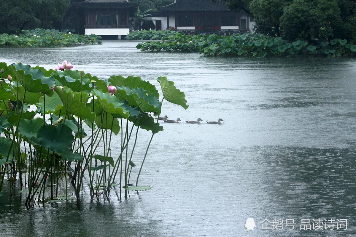 元代诗人虞集一首经典的七绝《听雨》,句句伤感,道尽人生的无奈