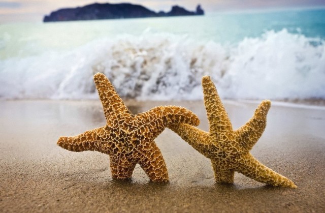 管理者是否有具体的目标与任务?