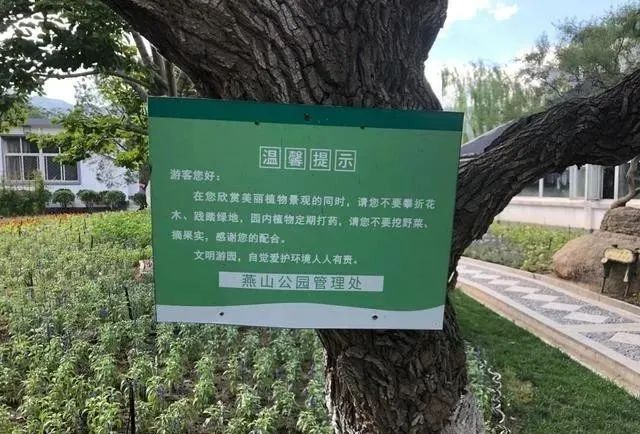 请您不要挖野菜,摘果实",一下急了,找到公园工作人员一通数落,埋怨