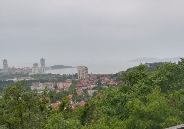 登青岛山,览绿树红瓦,半城海水之美景