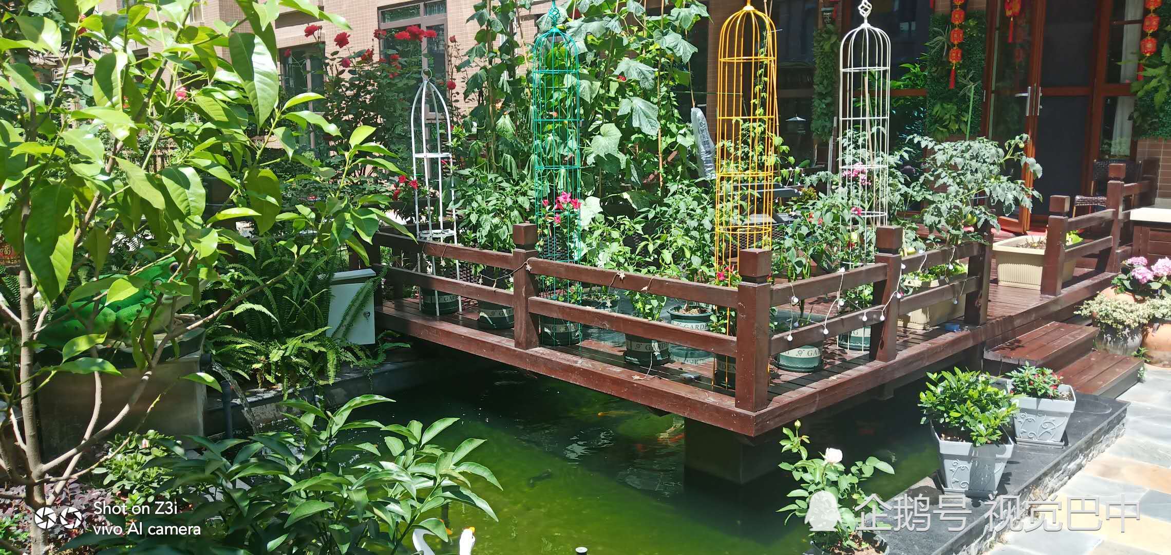 巴中各楼盘小区中,哪些能有这样的"自家小院"?