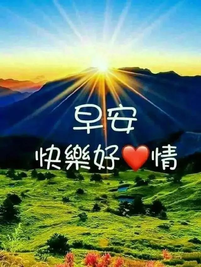 最美的早安问候图片表情带字 漂亮的早上好表情图片问候语录