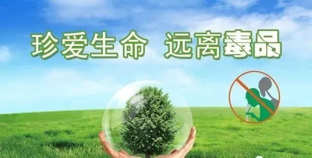 "珍爱生命,远离毒品"禁毒相关知识