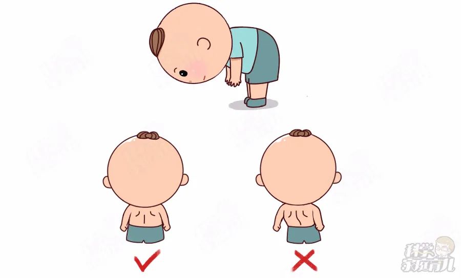 脱掉宝宝上衣,让宝宝双腿并拢向下弯腰 90°,观察宝宝脊椎中线是否呈