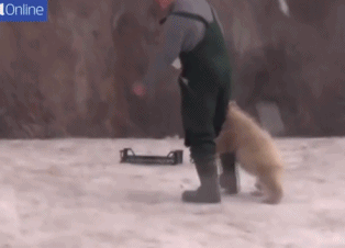 有了好装备,昔日的抄家专家楚三光又回来了.