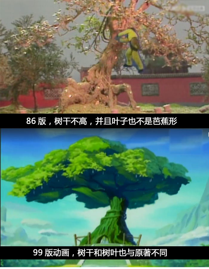 而在各种版本的《西游记》影视剧中,人参果树被设计成啥样呢?