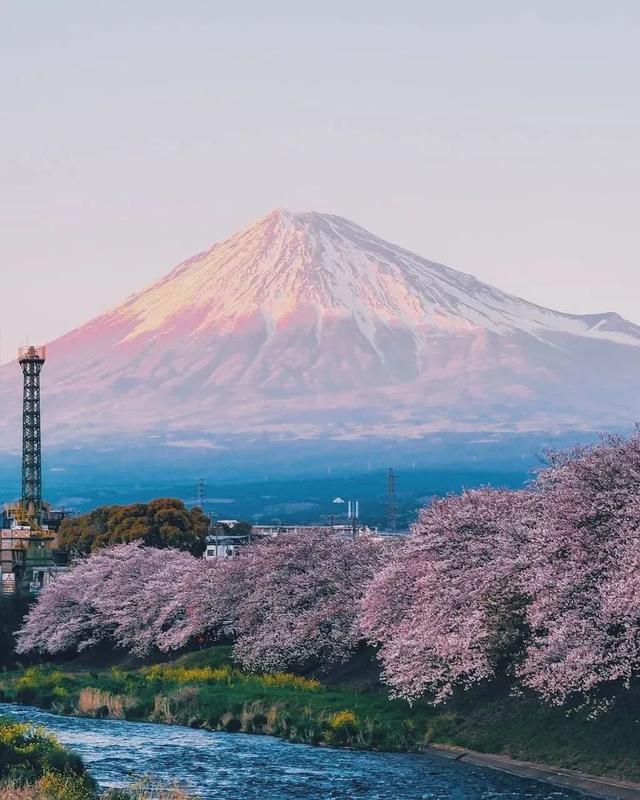 日本经济大衰退!富士山60年来首次封山
