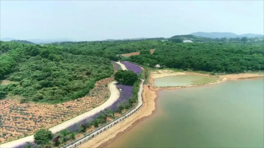 溧阳市,上兴镇,融媒体中心