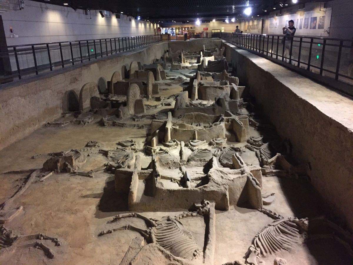 媲美秦陵兵马俑的一座墓葬,占地8万平,车马坑的规格很高